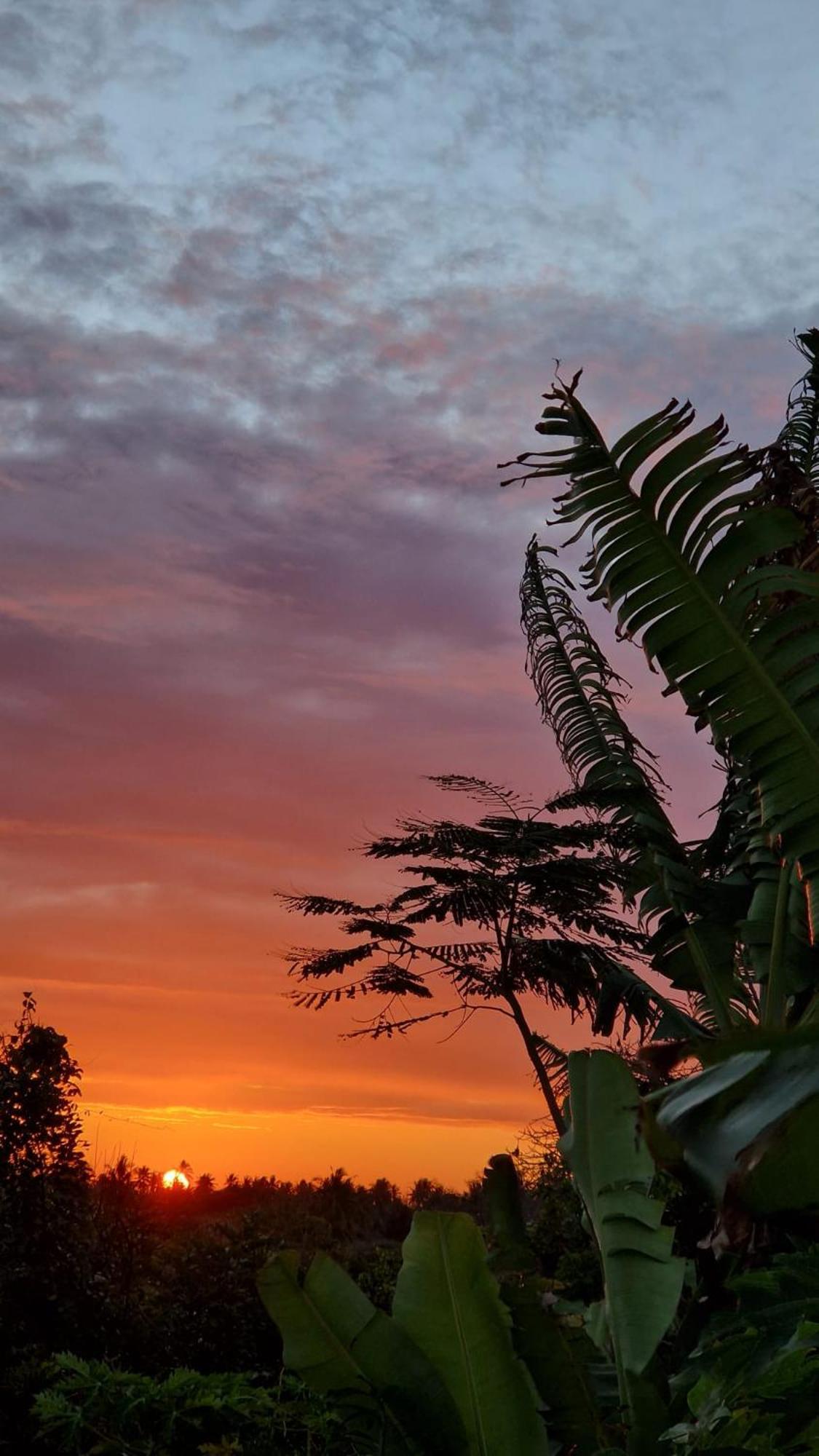Monkey Mountain Lodge Mtende Εξωτερικό φωτογραφία