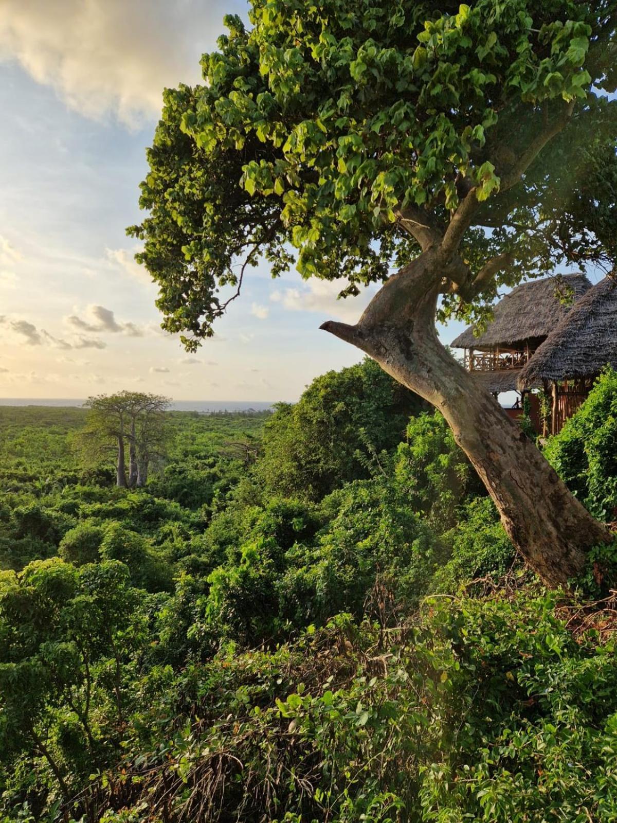 Monkey Mountain Lodge Mtende Εξωτερικό φωτογραφία