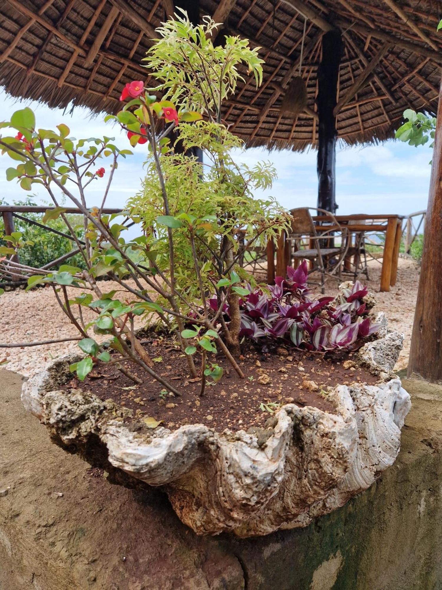 Monkey Mountain Lodge Mtende Εξωτερικό φωτογραφία